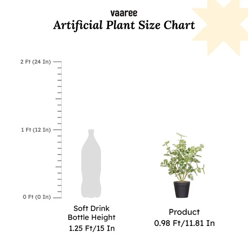Artificial Pothos Plant With Black Fiber Pot (White) - 1 Feet media 7
