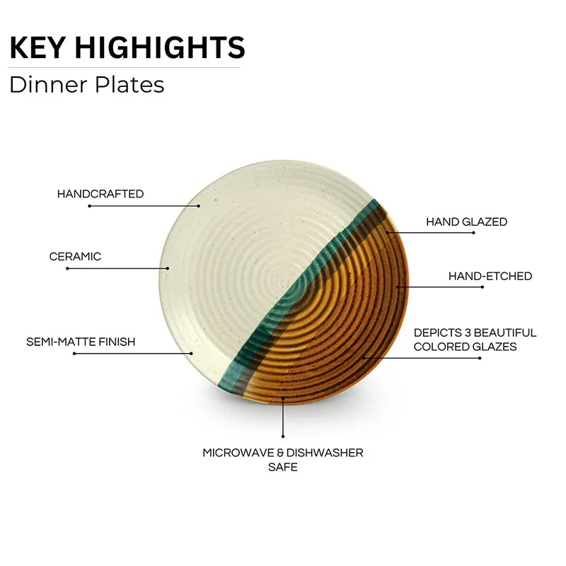 Cinnamon Grove Ceramic Dinner Plate media 4