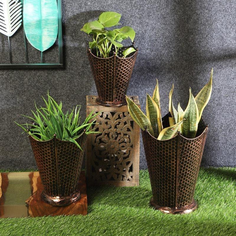 Crown Cast Planter (Copper) - Set Of Three media 3
