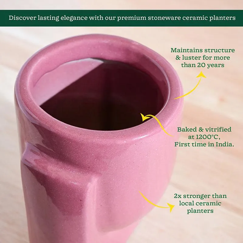 Ugaoo Minimalica Ceramic Planter - Pink media 5