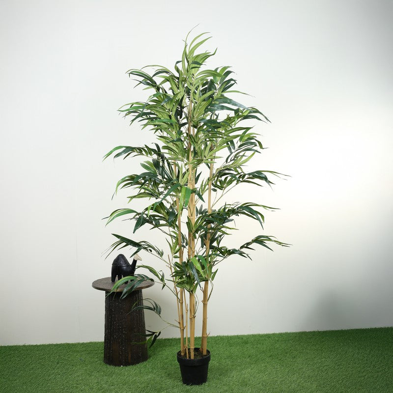 Artificial Bamboo Plant With Fiber White Pot - 6 Feet media 5
