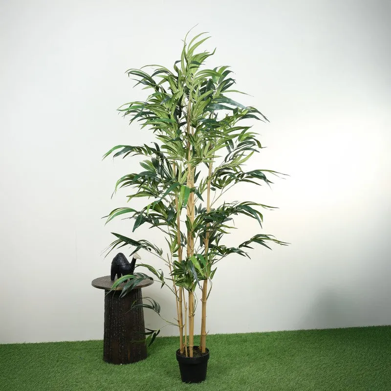 Artificial Bamboo Plant With Fiber White Pot - 6 Feet media 5