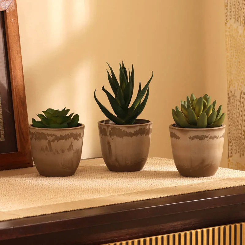 Artificial Succulent With Black Plastic Pot - Set Of Three media 1