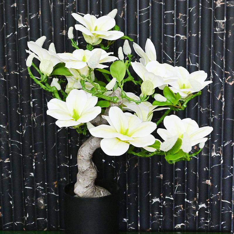 Magnira Artificial Mini Magnolia Tree With Black Plastic Pot (White & Green) - 50 cm media 5