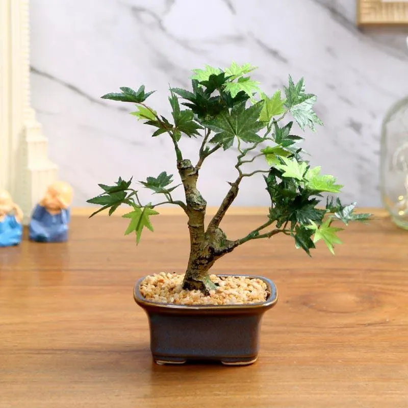 Faux Maple Bonsai In Tub Pot (23 cms) - Green media 1