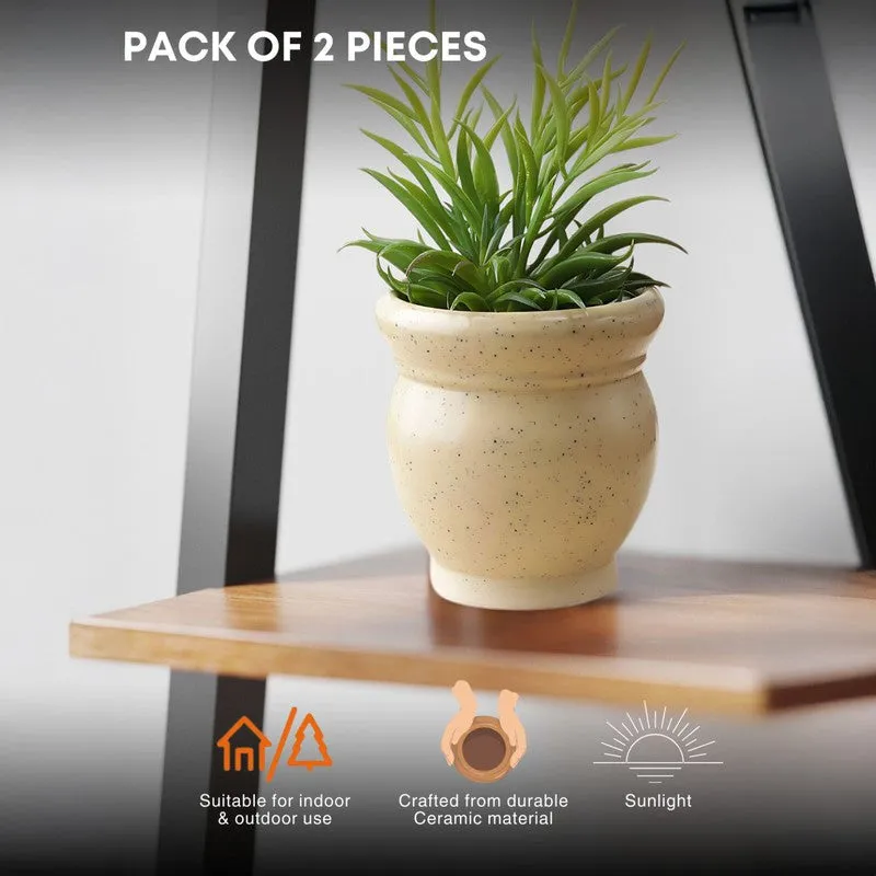 GoldenSprout Planters - Set Of Two media 9