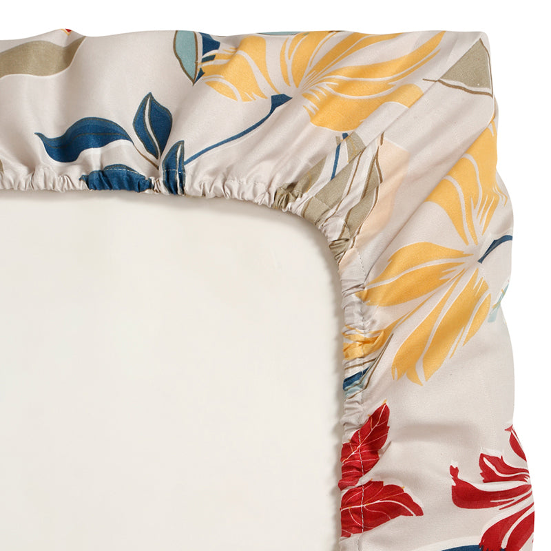 Ainar Fitted Bedsheet - 180 GSM media 9