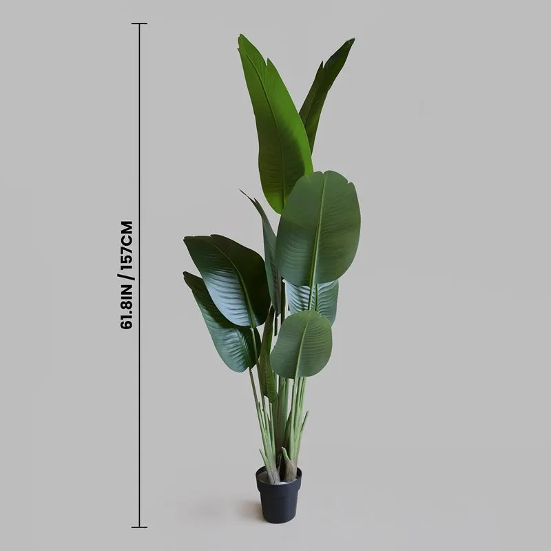 Tropibana Artificial Bird Of Paradise With Black Plastic Pot - 157 cm (5.2 ft) media 10