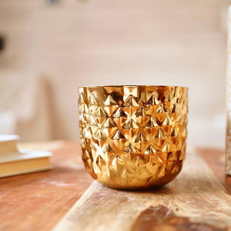 Pineapple Poga Planter media 4