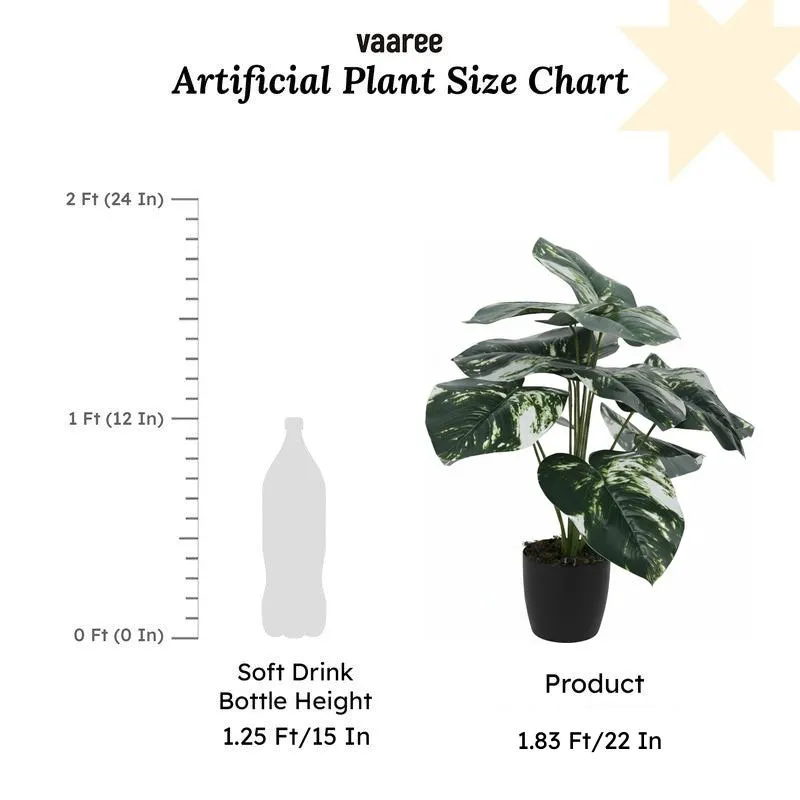 Faux White Patch Monstera Silk Plant With Black Plastic Pot - 55 cms media 5