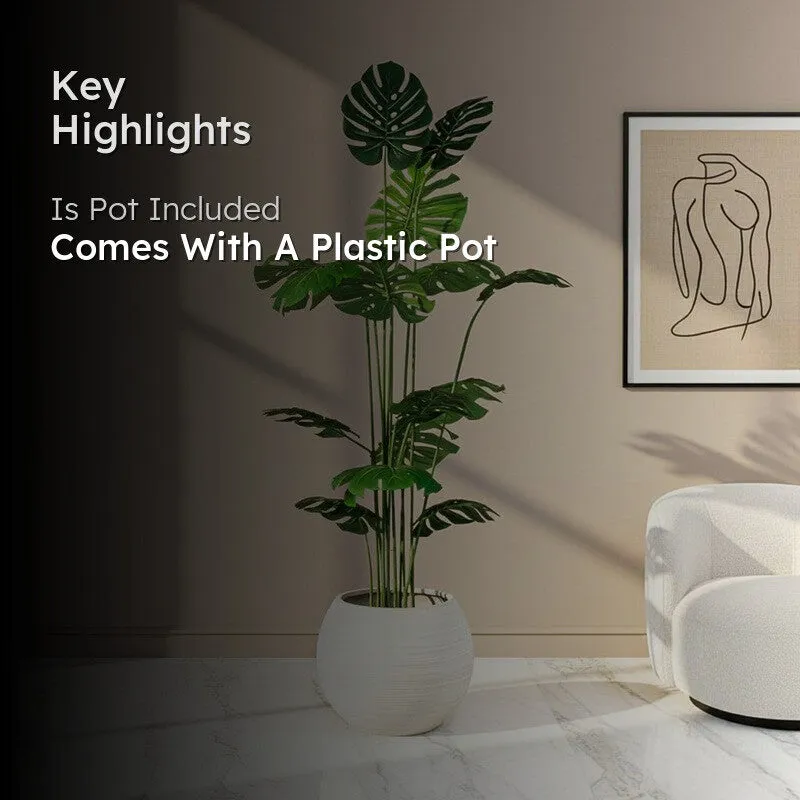 Striga Artificial Monstera  With Black Plastic Pot - 6 Feet media 2