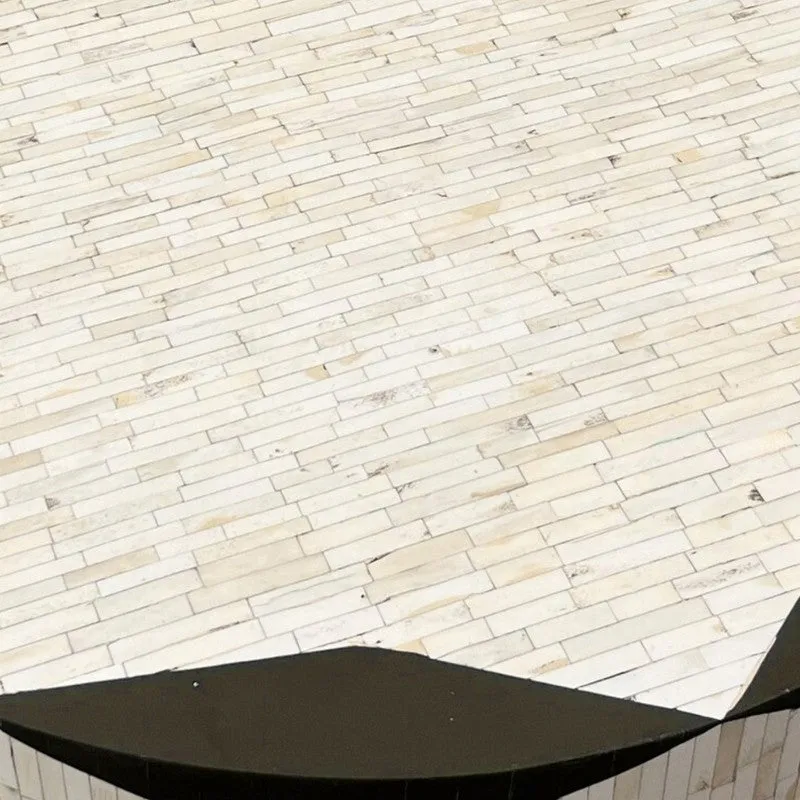 Orion Bone Inlay Center Table - Black media 5