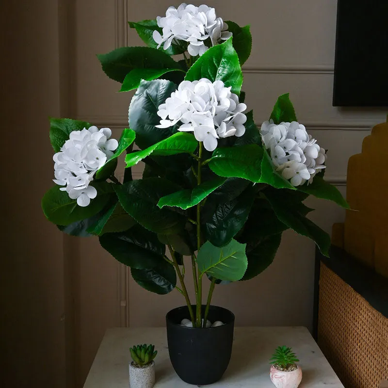 Faux Everlasting Hydrangea Plant With Black Plastic Pot (White) - 76 cm (2.5 ft) media 3