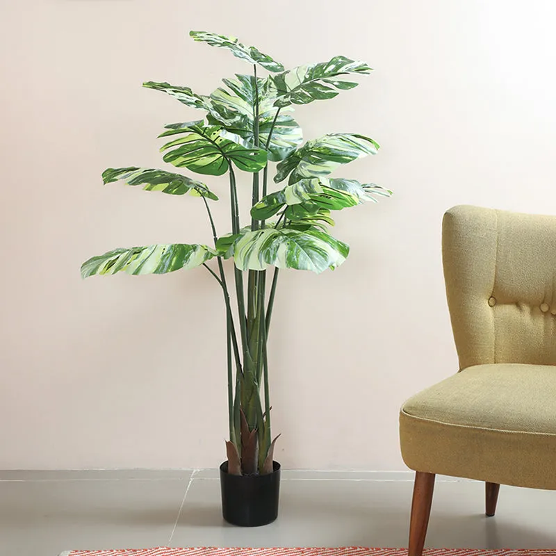 Vaiga Artificial Variegated Monstera With Black Plastic Pot - 5 Feet media 3