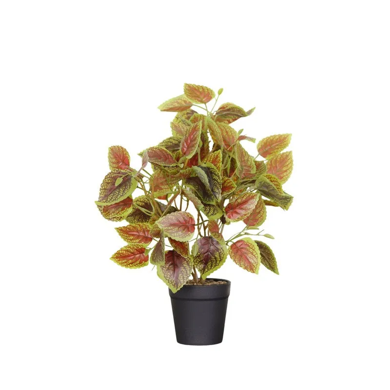 Artificial Brown Coleous Leaf Plant With Black Fiber Pot - 1 Feet media 4