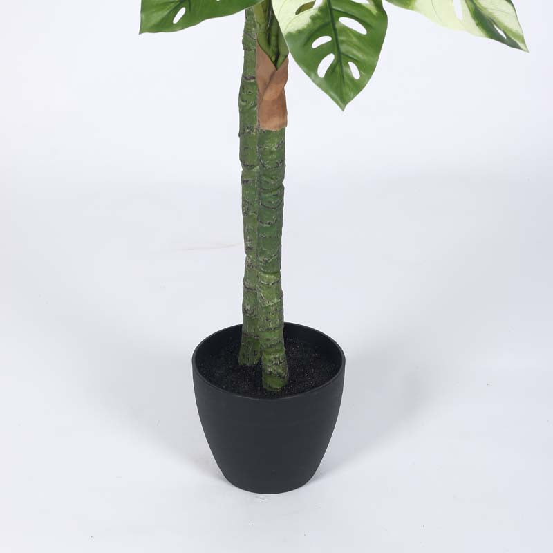 Faux Lush Variegated Monstera Plant With Black Plastic Pot - 4.8 Feet media 5
