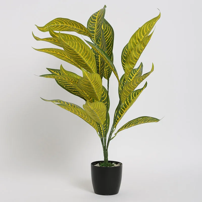 Faux Gold Dust Croton Plant With Black Plastic Pot - 2.2 Feet media 4