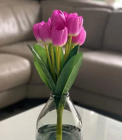 Silk · Plastic