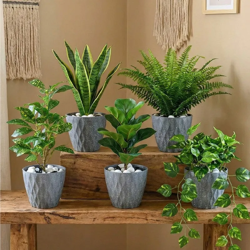 Zenvia Textured Plastic Planter - Set Of Five media 1