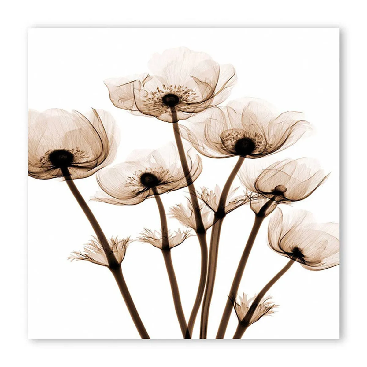Front view of square floral canvas wall art with delicate brown flowers on white.