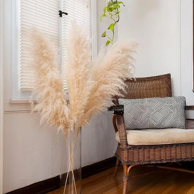 Artificial Rustic Pampas Grass - Set Of Five media 7