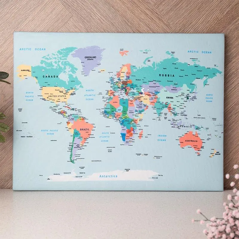 World Map Pinboard media 1