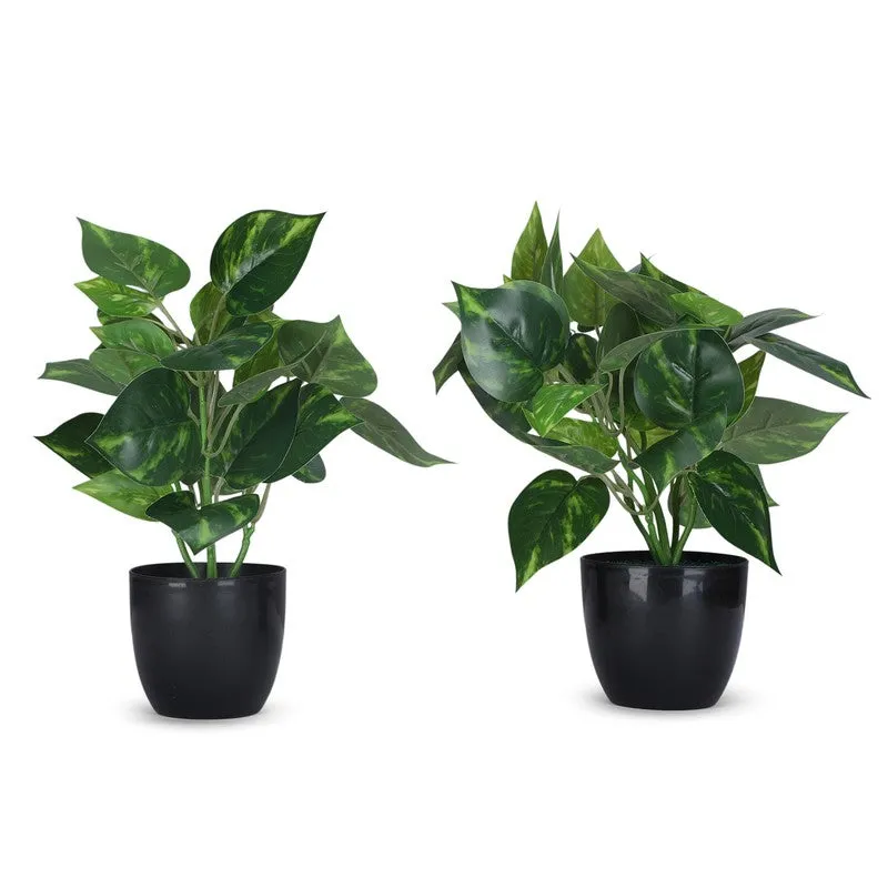Artificial Money Plant With Black Plastic Pot - Set Of Two media 4