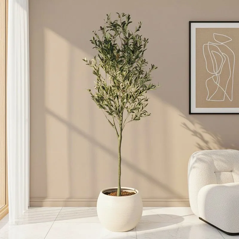 Faux Lush Olive Artificial Plant With Black Plastic Pot - 5.6 Feet media 1