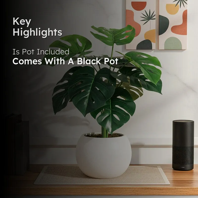 Faux Multicolor Monstera Silk Plant With Black Plastic Pot - 55 cms media 2