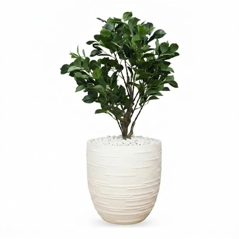 Calmora Floor Planter - Off White - 7