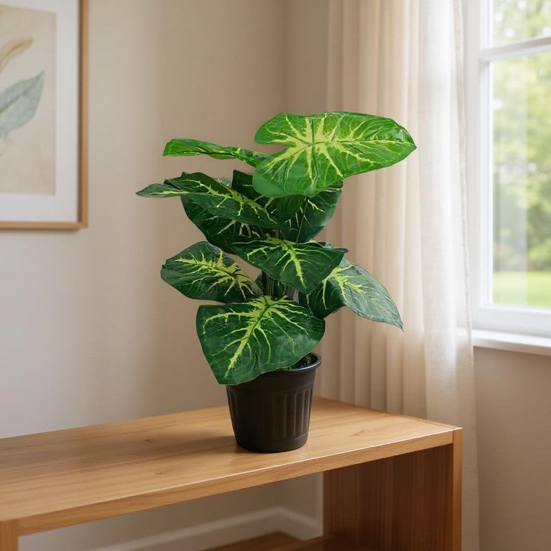 Rootella Artificial Alocasia Plant - 1.5 Feet media 2