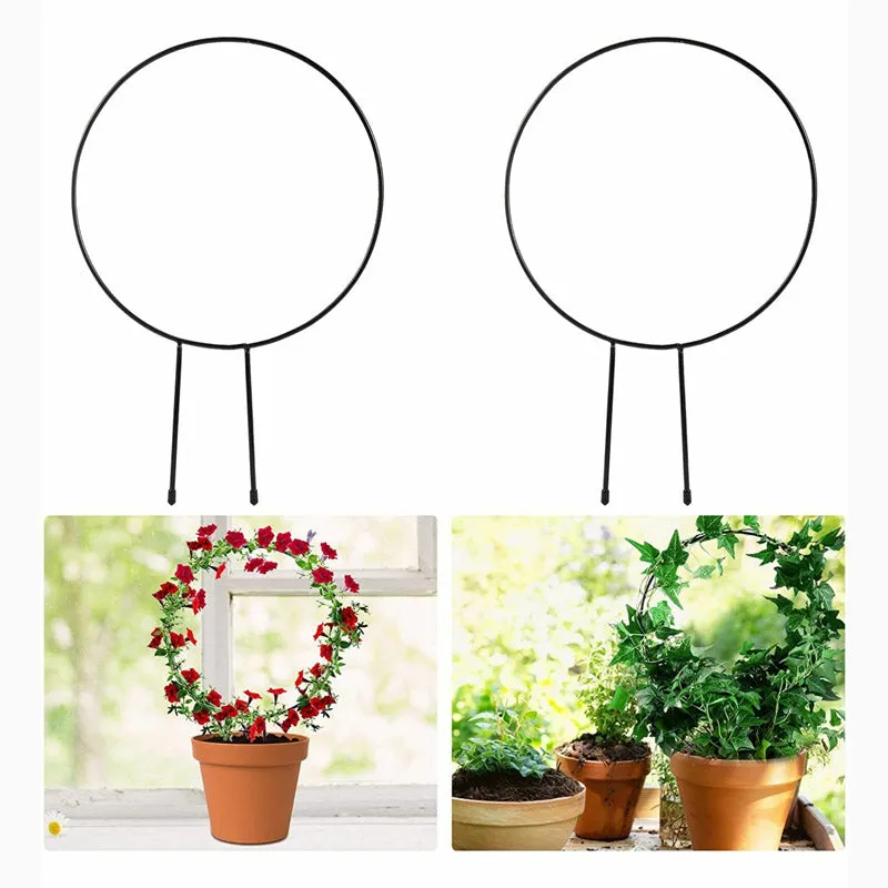 Loop Metal Plant Trellis Rings - Set of Two media 5