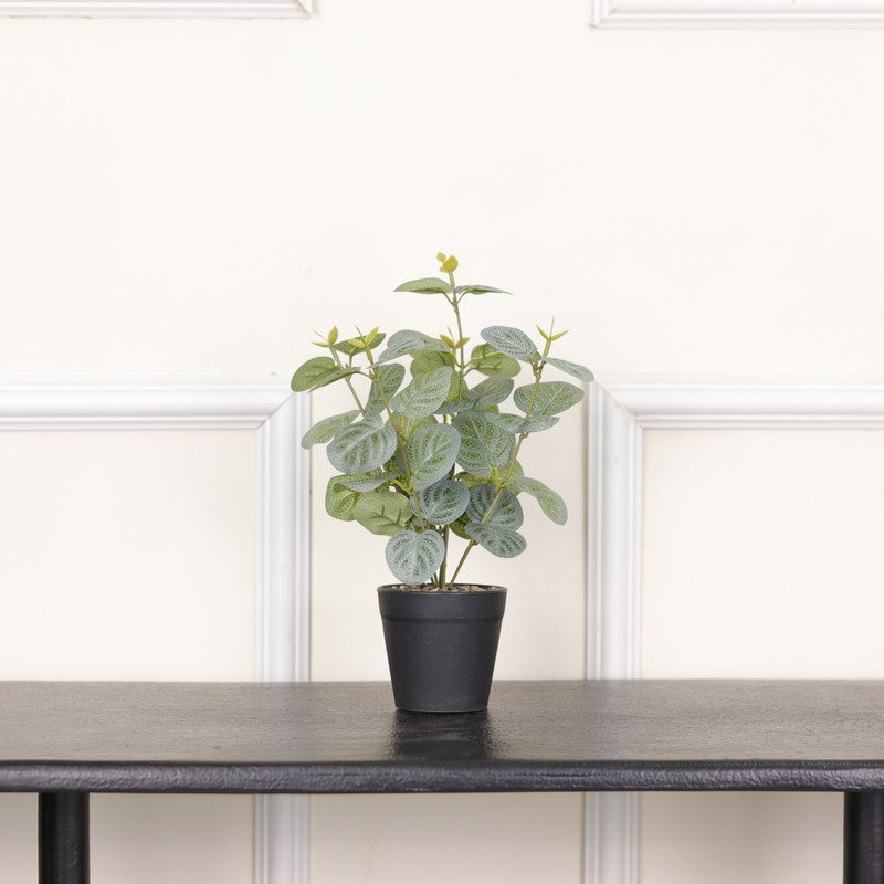 Artificial Eucalyptus Plant With Black Fiber Pot (Green) - 1 Feet media 3