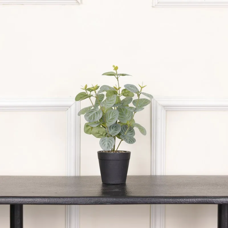 Artificial Eucalyptus Plant With Black Fiber Pot (Green) - 1 Feet media 3