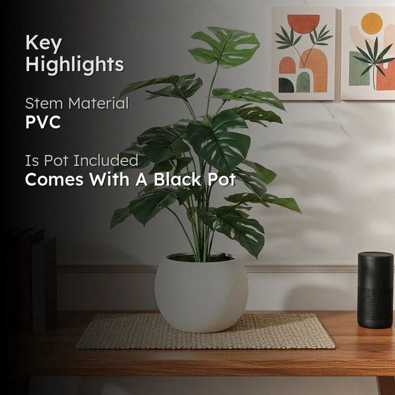 Faux Fringe Monstera Artificial Plant With Black Plastic Pot - 2.13 ft media 2
