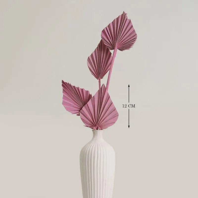 Palzi Dried Palm Stick (Pink) - Set Of Five media 4