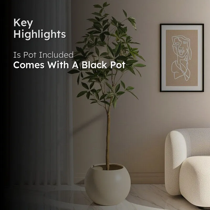 Faux Lush Pachira Plant With Black Plastic Pot - 5.6 Feet media 2