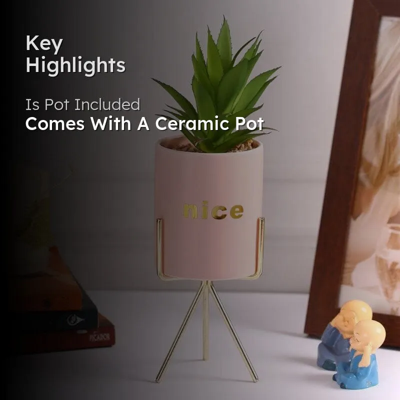 Faux Aloe Vera In Pink Pot With Tripod - 27 cms media 2