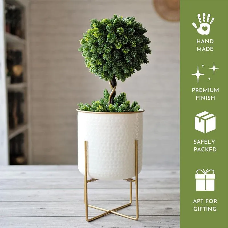 Rhaella Iron Planter - Big media 5