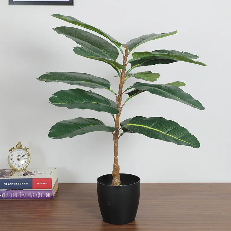 Endless Flora Artificial Rubber Plant With Black Plastic Pot - 2.5 Feet media 3