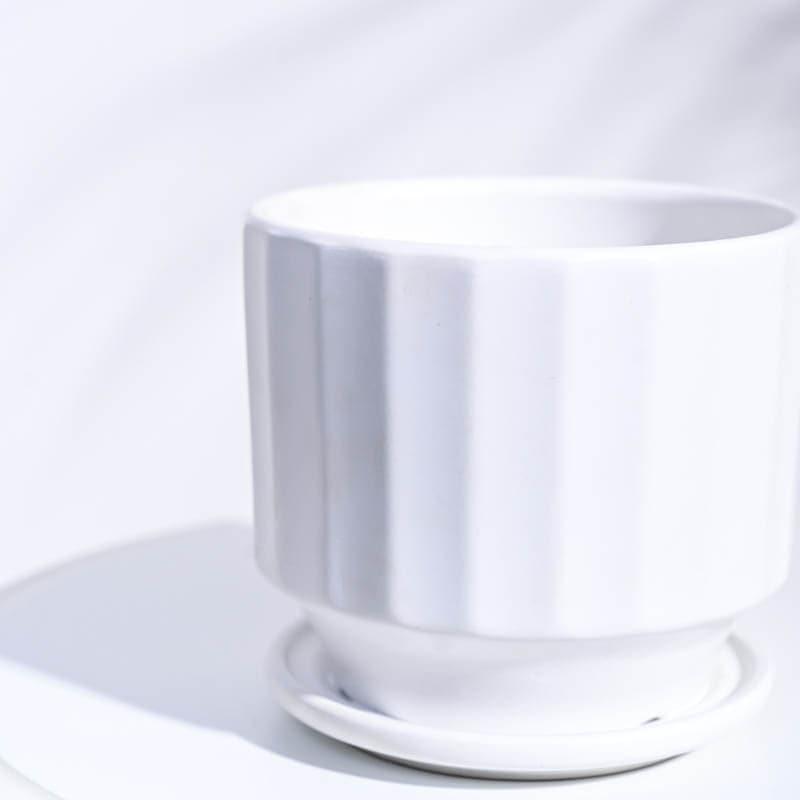 Lexie Ceramic Planter - White media 4