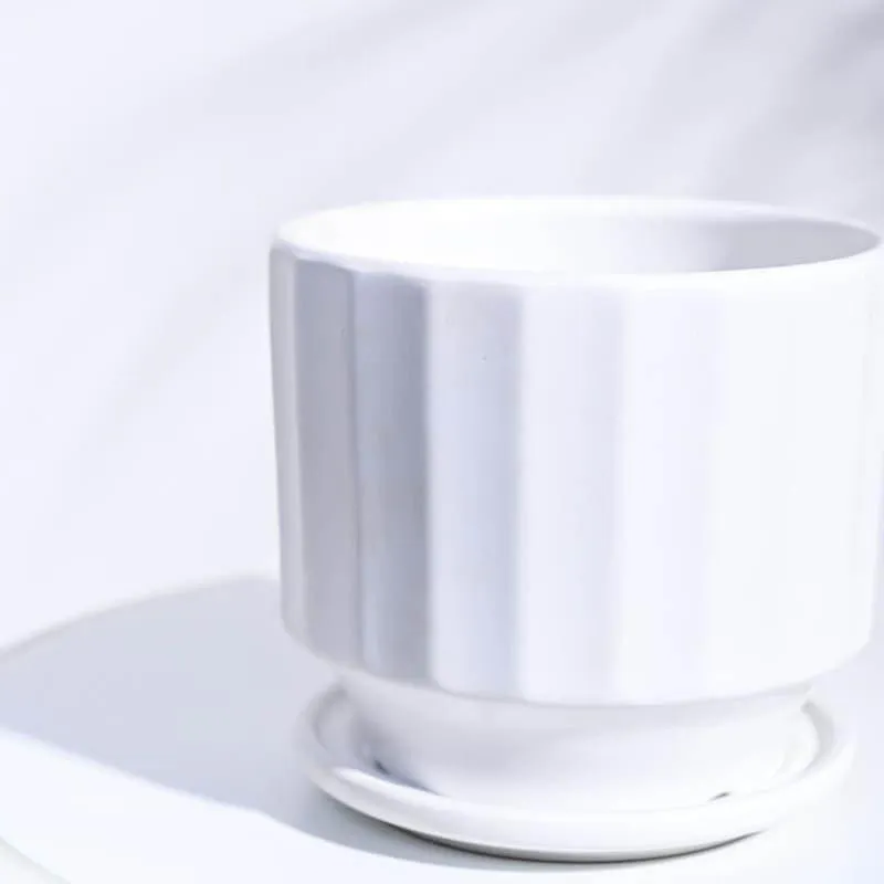 Lexie Ceramic Planter - White media 4