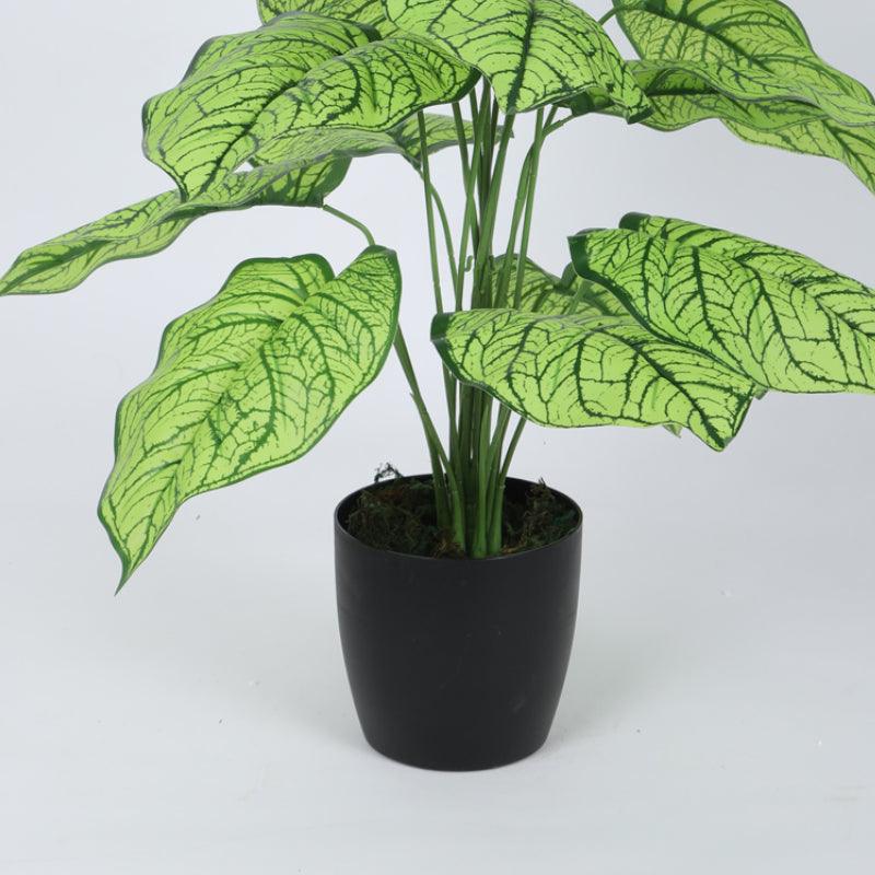Faux Silk Plant With Black Plastic Pot - 2.13 ft media 4
