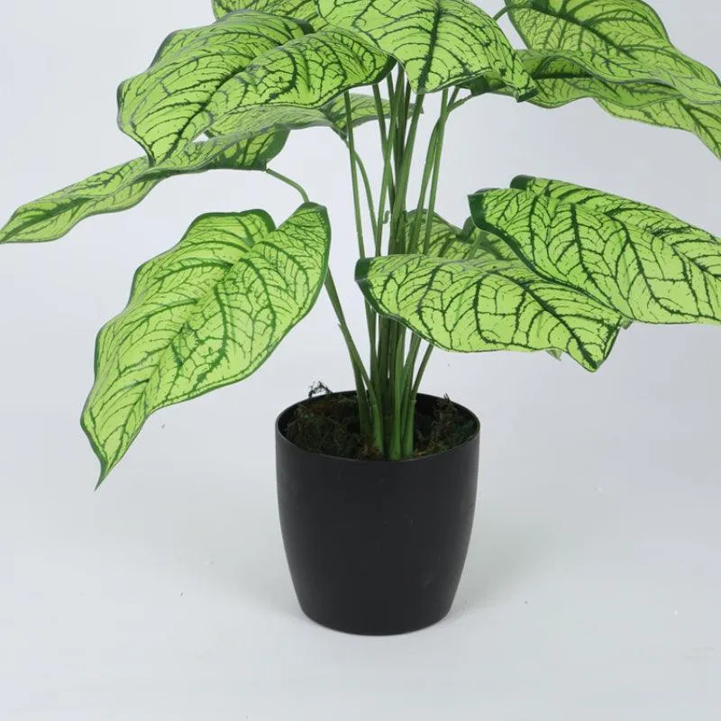 Faux Silk Plant With Black Plastic Pot - 2.13 ft media 4