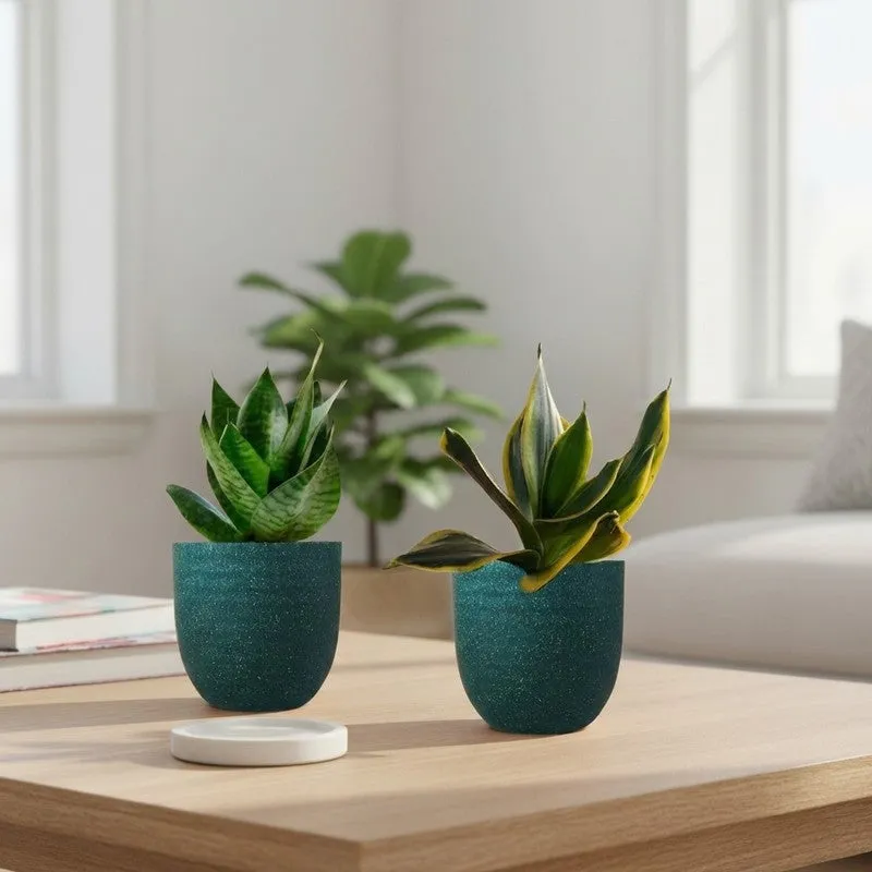 Greenkin Snake Live Plants (Green) - Set Of Two media 1