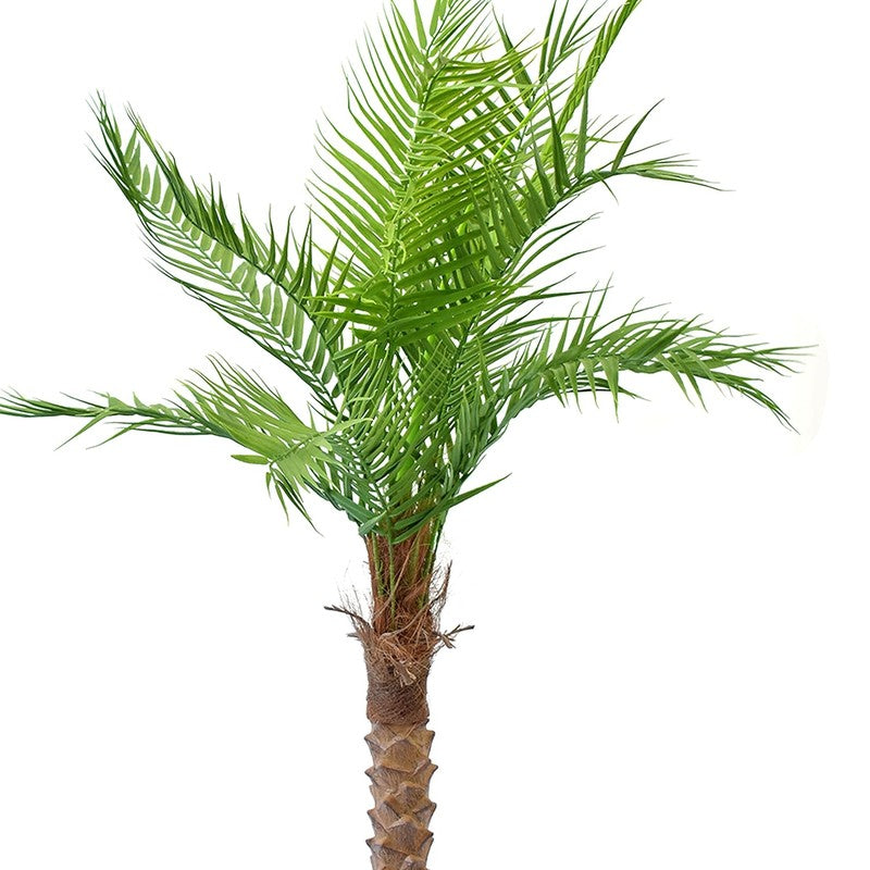 Verde Artificial Palm Plant With Black Plastic Pot - 5 Feet media 4