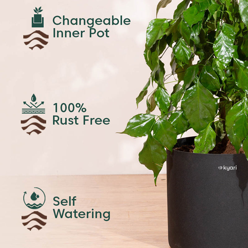 Kyari Zen Black Metal Planter media 4