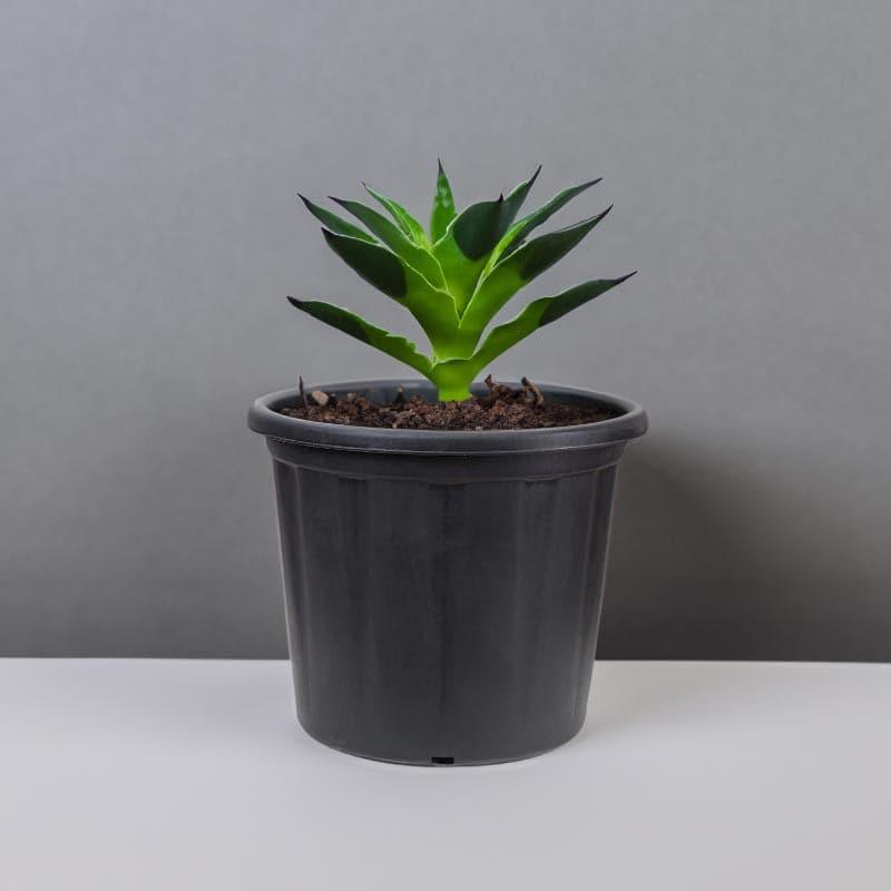 Ugaoo UV Treated Black Plastic Pot (30 CM) - Set Of Three media 2