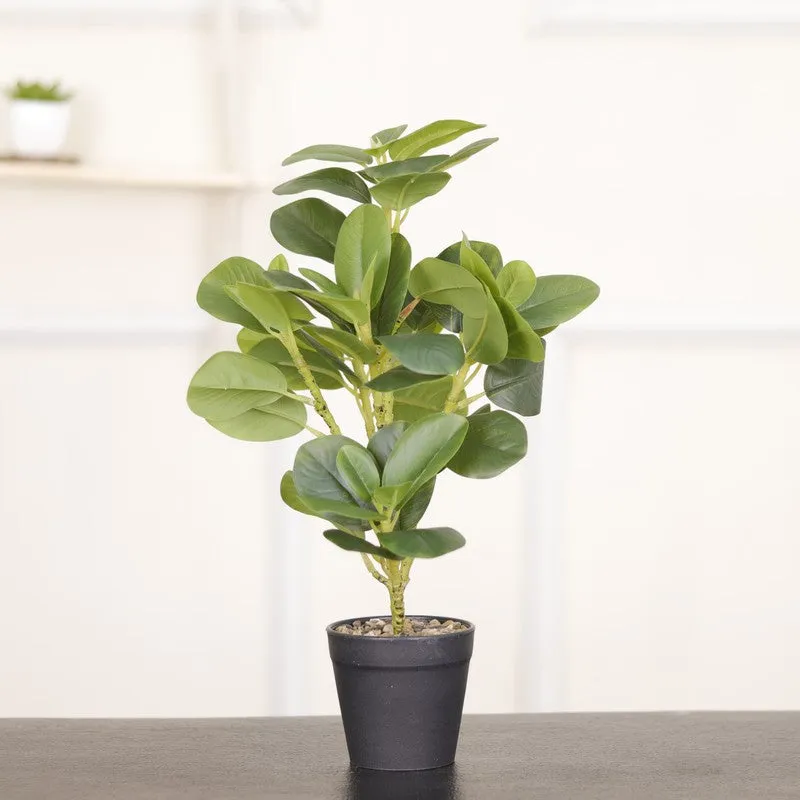 Artificial White Quercus Leaf Small Plant With Black Fiber Pot - 1 Feet media 3
