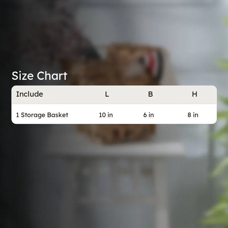 Astin Natural Fiber Storage Basket media 9